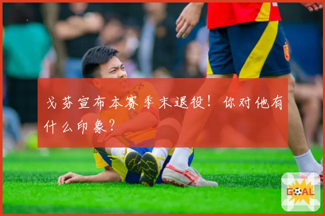 戈芬宣布本赛季末退役！你对他有什么印象？