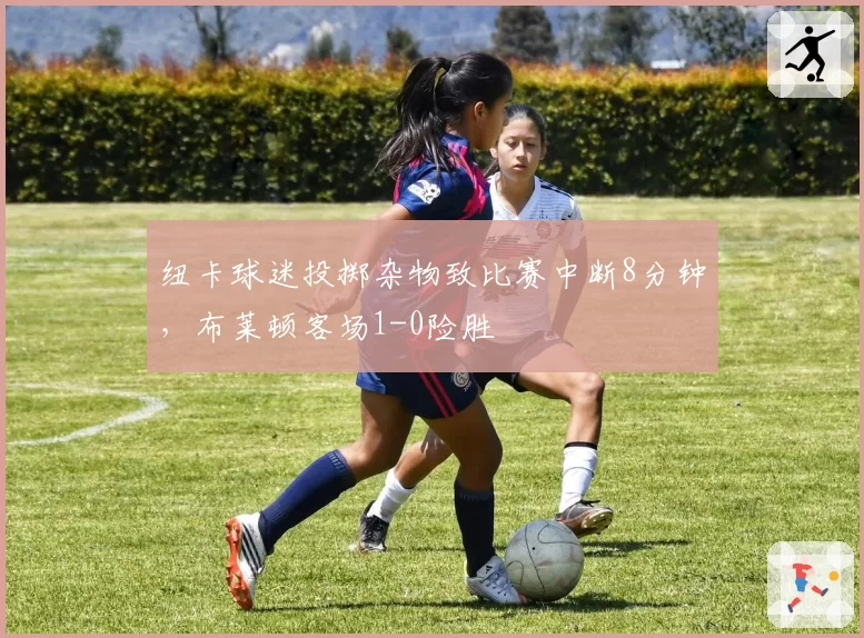 纽卡球迷投掷杂物致比赛中断8分钟,布莱顿客场1-0险胜
