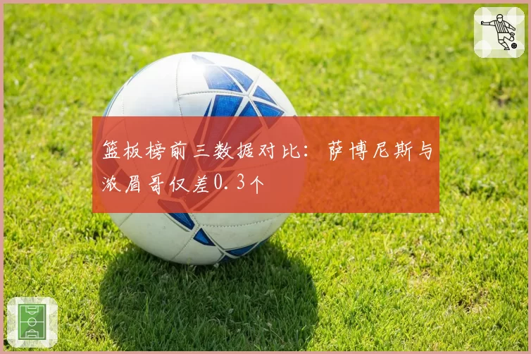 篮板榜前三数据对比:萨博尼斯与浓眉哥仅差0.3个