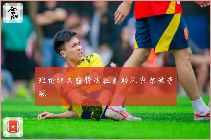 维伦纽夫盛赞法拉利助汉密尔顿夺冠